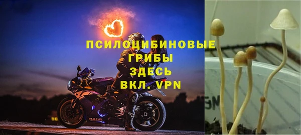 COCAINE Зеленодольск